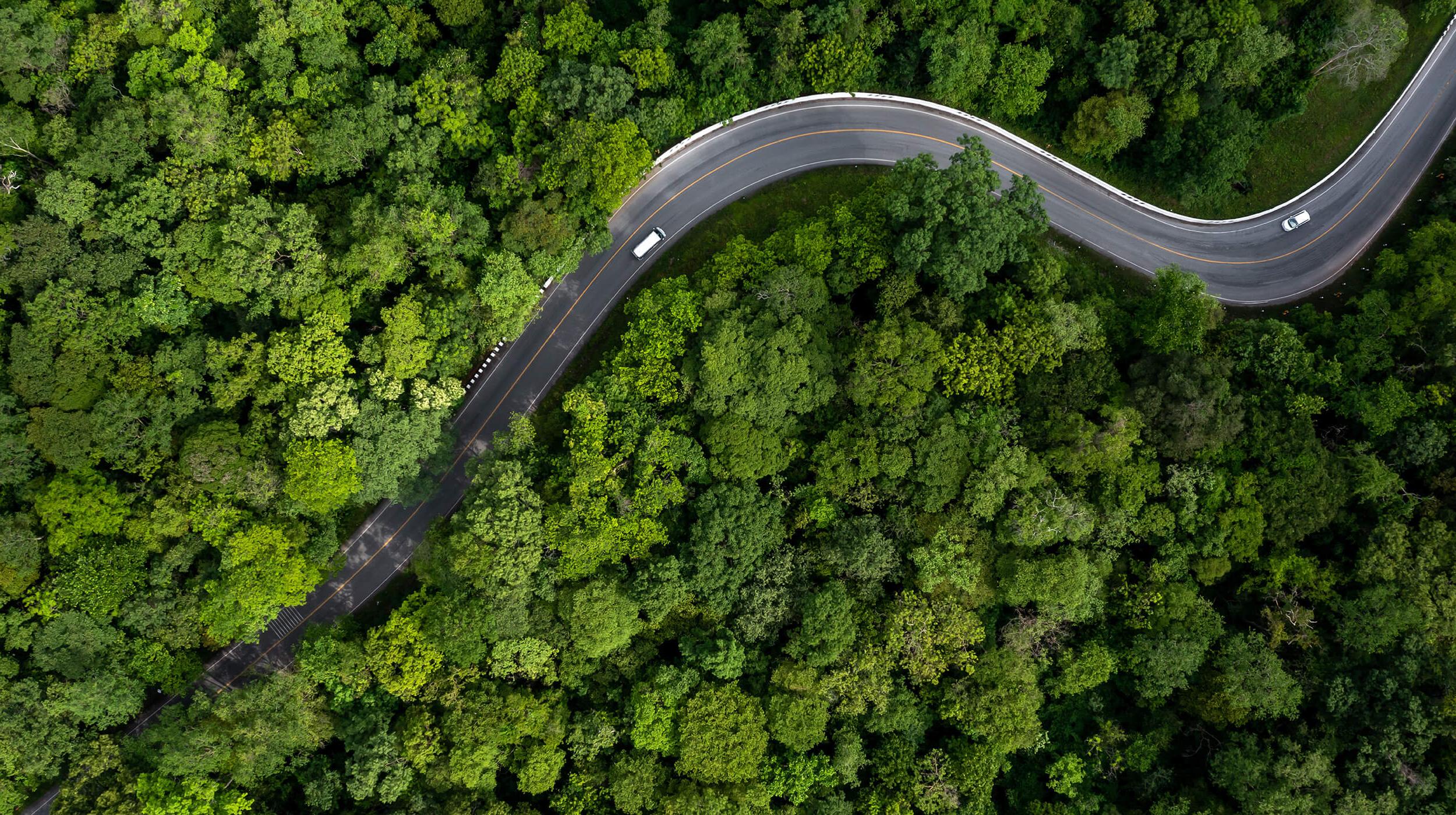 Bird's eye view of cars driving on a bendy road through a surrounding green forest of trees